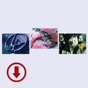 Digital Expanded Edition (LP store)