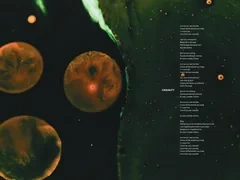 Fzbook-24