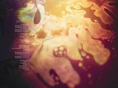 Fzbook-28