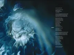 Fzbook-38