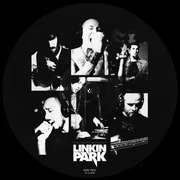 Picture vinyl Side B