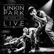 OneMoreLightLiveVinylFront