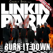 Burn It Down Charly Beck Remix