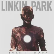 Burn It Down Cover