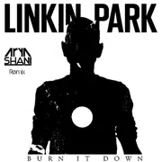 Burn It Down Arya Shani Remix